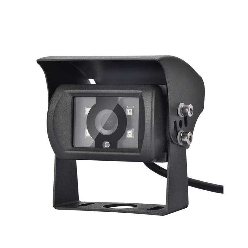 Salsissimus vir vivens tergo visum camera