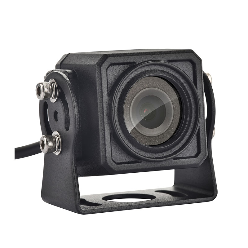 Salsissimus vir vivens securitatem magna camera